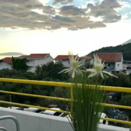 Natali بوداكا